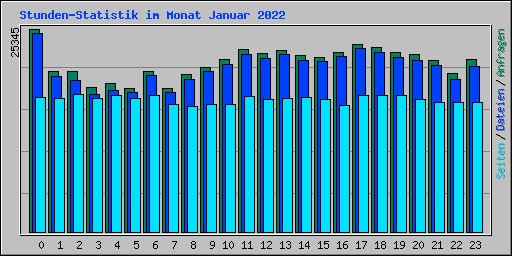 Stunden-Statistik im Monat Januar 2022