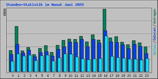 Stunden-Statistik im Monat Juni 2025