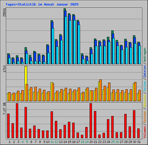 Tages-Statistik im Monat Januar 2025
