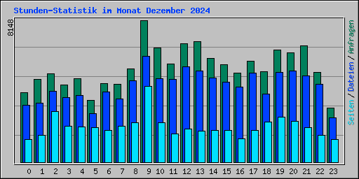 Stunden-Statistik im Monat Dezember 2024
