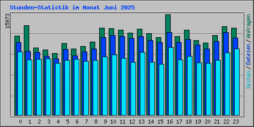 Stunden-Statistik im Monat Juni 2025