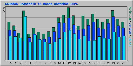 Stunden-Statistik im Monat Dezember 2025